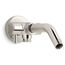 Shower Arm w/ 3-way Diverter (Vibrant Polished Nickel), K-76330-SN