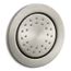 WaterTile Round 27-nozzle 1-Function Body Spray, 1.0 GPM (Vibrant Brushed Nickel), K-77119-BN