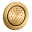 WaterTile Round 27-nozzle 1-Function Body Spray, 2.0 GPM (Vibrant Brushed Moderne Brass), K-8013-AK-2MB