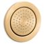 WaterTile Round 54-nozzle 1-Function Body Spray, 2.0 GPM (Vibrant Brushed Moderne Brass), K-8014-2MB
