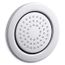 WaterTile Round 54-nozzle 1-Function Body Spray, 2.0 GPM (Polished Chrome)