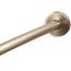 Expanse Curved Shower Rod (Vibrant Brushed Bronze)