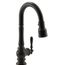 Artifacts 1H Secdry W/Pd Spry (Oil-Rubbed Bronze), K-99261-2BZ