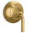 Tone Mastershower Transfer Valve Trim (Vibrant Brushed Moderne Brass)