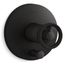 Rite-temp Valve Trim w/ Industrial Handle And Diverter (Matte Black)