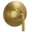 Tone Rite-temp Valve Trim (Vibrant Brushed Moderne Brass)