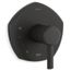 Occasion Rite-temp Valve Trim w/ Lever Handle (Matte Black)