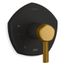 Occasion Rite-temp Valve Trim w/ Lever Handle (Matte Black w/ Brushed Moderne Brass)