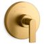 Composed Rite-temp Valve Trim w/ Lever Handle (Vibrant Brushed Moderne Brass)