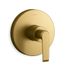 Avid Rite-temp Valve Trim w/ Lever Handle (Vibrant Brushed Moderne Brass)