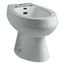 San Tropez Vertical Spray Bidet w/ 4 Faucet Holes (Ice Grey), K-4854-95