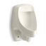 Siphon-Jet Half-Stall 0.5–1.0 Gpf Urinal, Rear Spud (Biscuit), K-5016-ER-96