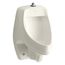 Dexter Siphon-Jet Wall-Mount 0.5 Or 1.0 Gpf Urinal w/ Top Spud (Biscuit), K-5016-ET-96