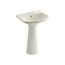 Cimarron 22-3/4" Rectangular Pedestal Bathroom Sink (Biscuit), K-2362-4-96
