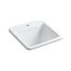 21" Top-/Undermount Single-Bowl Utility Sink (White), K-19022-1-0