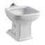 21" X 27-1/8" Floor-Mount Siphon-Jet Flushing Rim Service Sink (White), K-6676-0