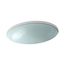 19" Oval Wall-Mount/Undermount Bathroom Sink, No Overflow (Opaque Dew), K-2741-G2-B11