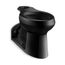 Elongated Toilet Bowl (Black/Black), K-4305-7