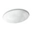 19-1/4" Oval Undermount Bathroom Sink, No Overflow (White Sartorial Paisley), K-14218-FP1-0