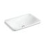 21" Rectangular Drop-In Bathroom Sink, No Overflow (White Sartorial Paisley), K-75749-FP1-0