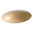 Whist 19" Oval Wall-Mount/Undermount Bathroom Sink, No Overflow (Opaque Sandalwood), K-2741-G7-B11