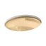 19" Oval Undermount Bathroom Sink, No Overflow (Translucent Sandalwood), K-2741-TG7