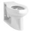 Anglesey Floor-Mount Rear Spud Antimicrobial Flushometer Bowl w/ Integral Seat (White), K-4398-SS-0