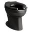 Wellcomme Ultra Floor-Mount Top Spud Flushometer Bowl (Black), K-96053-7