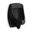 Washout Half-Stall 0.125 Gpf Urinal, Rear Spud (Black/Black), K-5452-ER-7