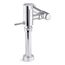 Toilet Flushometer, 1.6 Gpf (Polished Chrome), K-80TM00R10-CP