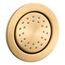 Watertile Round 27-Nozzle Single-Function Body Spray, 1.0 Gpm (Vibrant Brushed Moderne Brass), K-77119-2MB