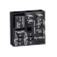 SPDT 5 sec. Factory Fixed Dual Function Relay Output Time Delay (24V)