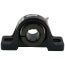 Ball Bearing Pillow Block (1-3/16" Bore Dia.), KT63ZZ098