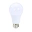 LED A19 Lamp 9W, 6500K, 80CRI Non-Dimmable