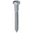 1/4" x 2" Hex Head Lag Screw (Pack of 100)