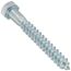 3/8" x 3" Hex Head Lag Screw (Pack of 100)