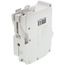 15A 1-Pole Standard Thermal Magnetic Branch Circuit Breaker (120/240V)