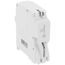 20A 1-Pole Standard Thermal Magnetic Branch Circuit Breaker (120/240V)