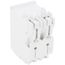 20A 2-Pole Standard Thermal Magnetic Branch Circuit Breaker (120/240V & 120/208V)