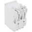 50A 2-Pole GFCI Thermal Magnetic Branch Circuit Breaker (120/240V & 120/208V)