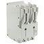 60A 2-Pole Standard Thermal Magnetic Branch Circuit Breaker (120/240V & 120/208V)