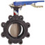 4" Lug Ductile Iron Butterfly Valve, DSC, EPDM, Lever Handle (200 PSI)