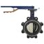 4" Lug Ductile Iron Butterfly Valve, EPDM, Iron Disc, Lever Handle (250 PSI)