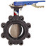 2" Lug Ductile Iron Butterfly Valve, EPDM, SS Disc, Lever Handle (250 PSI)