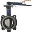 2.5" Lug Ductile Iron Butterfly Valve, EPDM, SS Disc, Lever Handle (250 PSI)