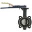 2.5" Lug Ductile Iron Butterfly Valve, EPDM, SS Disc, Lever Handle (250 PSI)