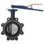 4" Lug Ductile Iron Butterfly Valve, EPDM, SS Disc, Lever Handle (250 PSI)