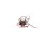 106614-01, Transformer, 85 Va, 460 Vac 60 Hz Primary, 230 Vac Secondary, 20P97