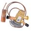 100679-19 Valve-Expansion (R410), 42W32