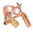100481-17 Valve-Txv W/Ck (R410A), 50W82